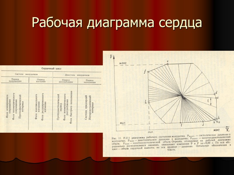 Рабочая диаграмма сердца